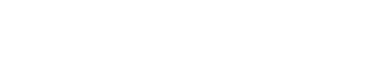 VIRELUNA AGENCY